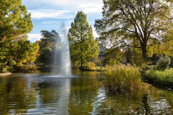 Teich