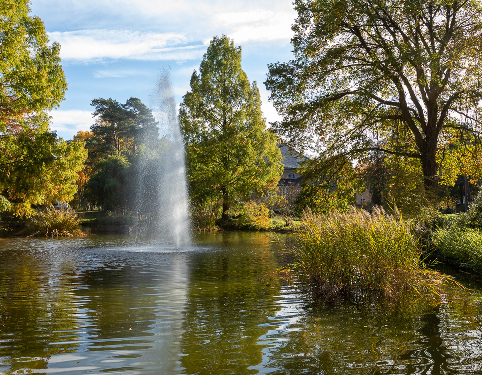 Teich am Festsaal