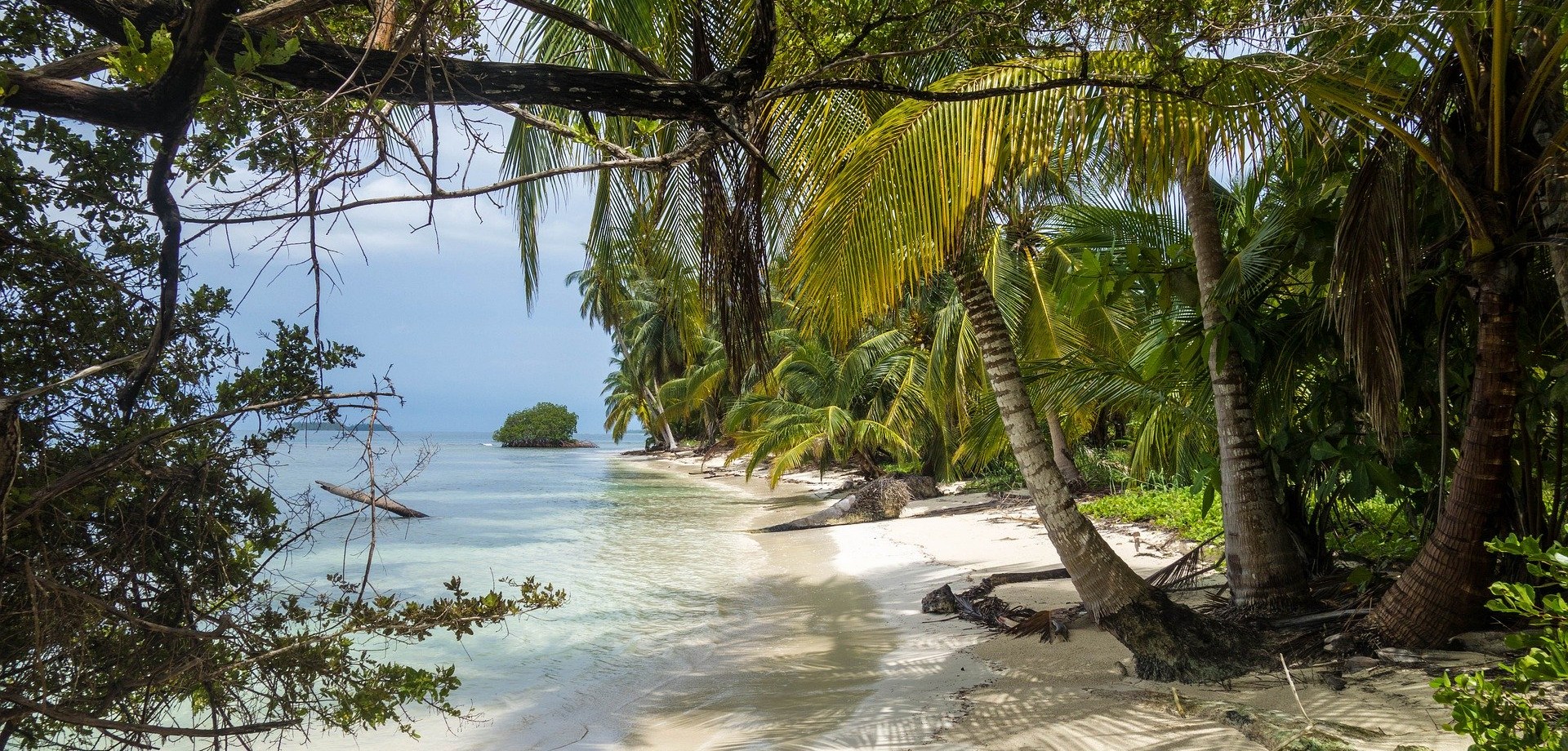 Ein tropischer Strandabschnitt, bestehend aus ganz vielen Palmen, Sträuchern, Farnen, weißem Sand und klarem Wasser