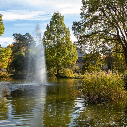 Fontaine im Teich im Park